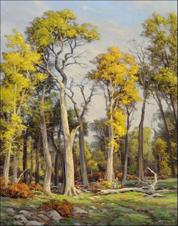 Fall cottonwoods by Clyde Aspevig