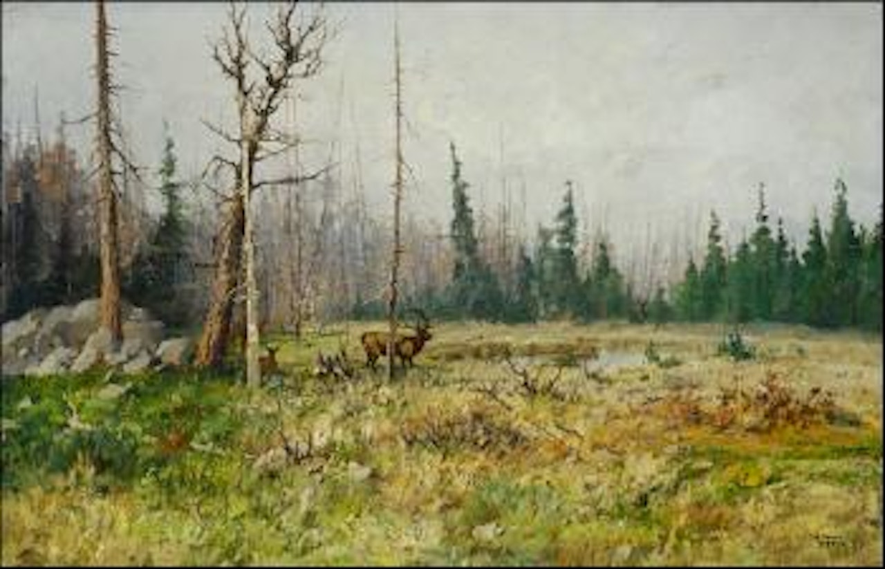 The challenge by John Fery
