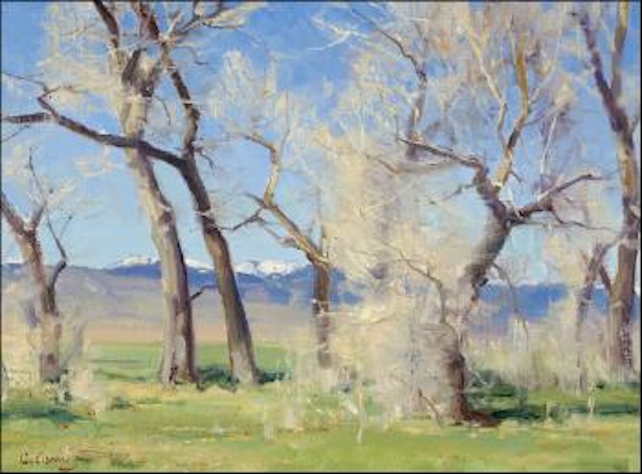 Cottonwoods by Clyde Aspevig