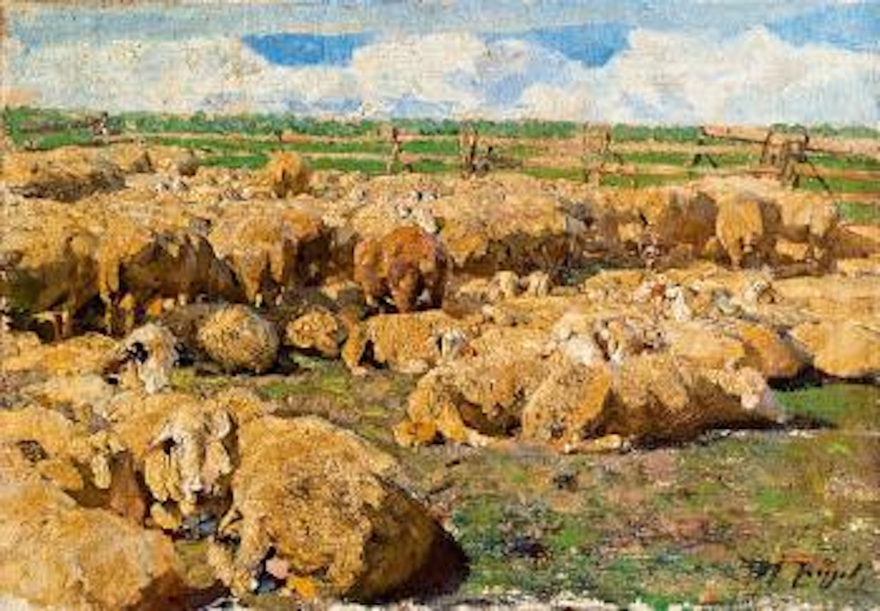 Im sonnigen Pferch by Heinrich von Zugel