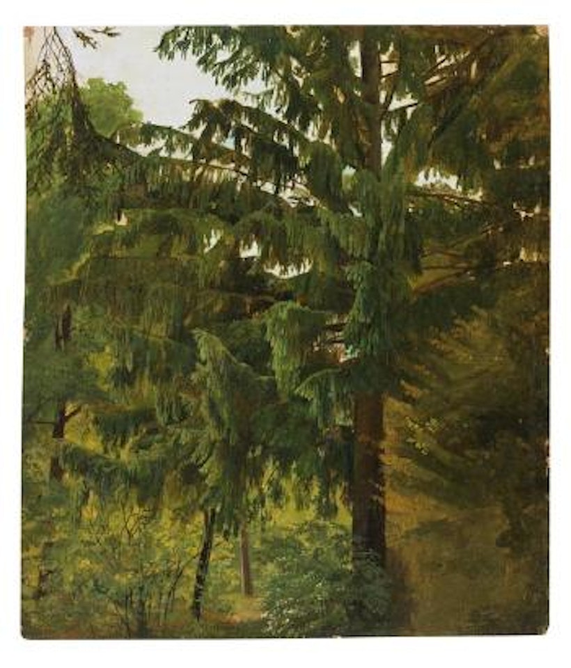Baum-Studie by Christian Friedrich Gille