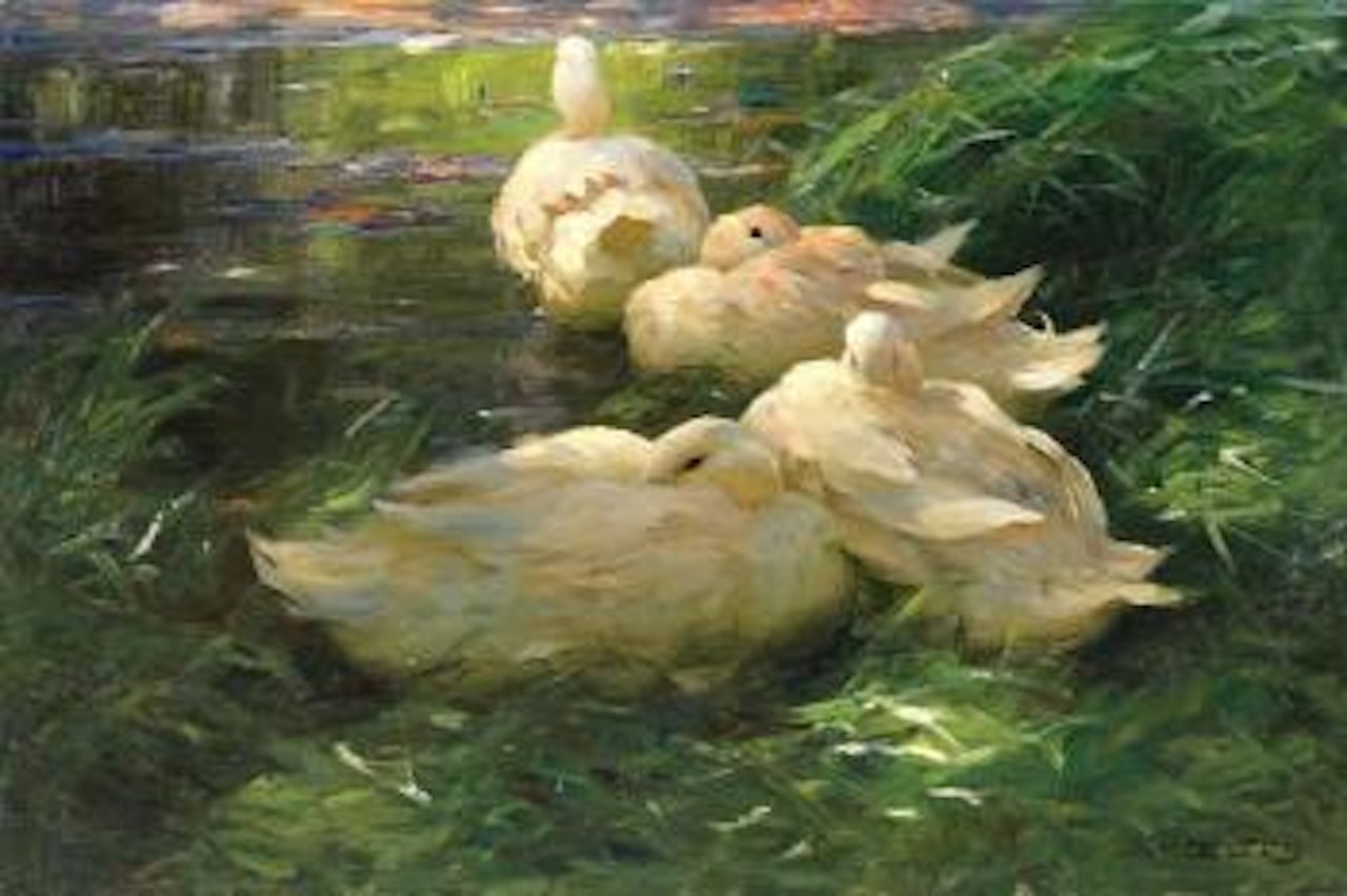 Vier Enten im Schilfwasser by Alexander Koester
