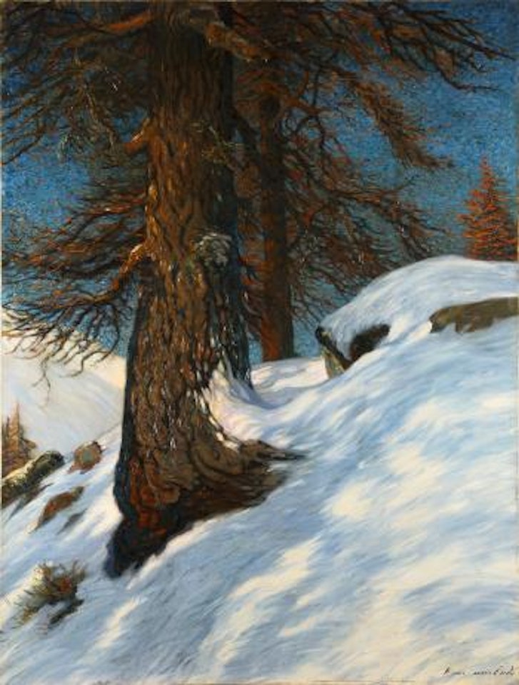 Larchen am Berghang by Hans am Ende