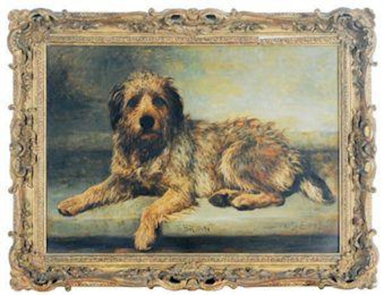 Brian, the terrier by John Emms