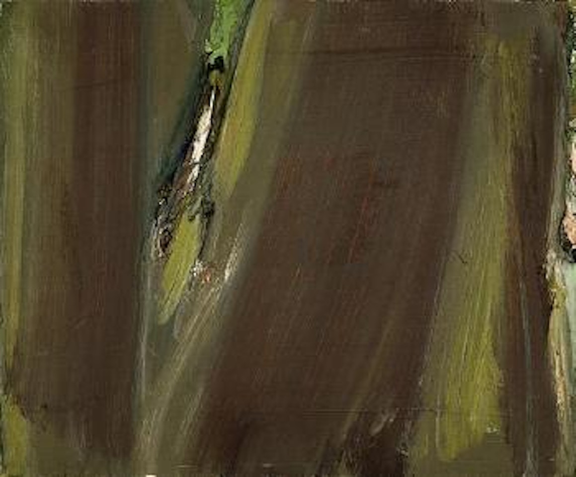 Vert jaune by Olivier Debre