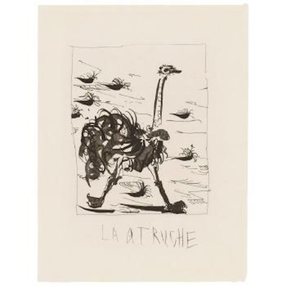 Histoire Naturelle : L'autruche by Pablo Picasso