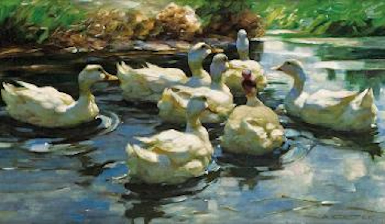 Sieben Enten auf dem Teich by Alexander Koester
