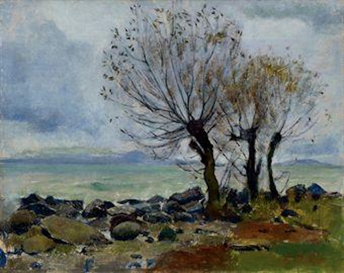 Weiden am Genfersee by Ferdinand Hodler