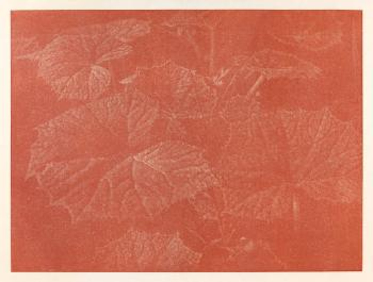 Pestwurz by Franz Gertsch