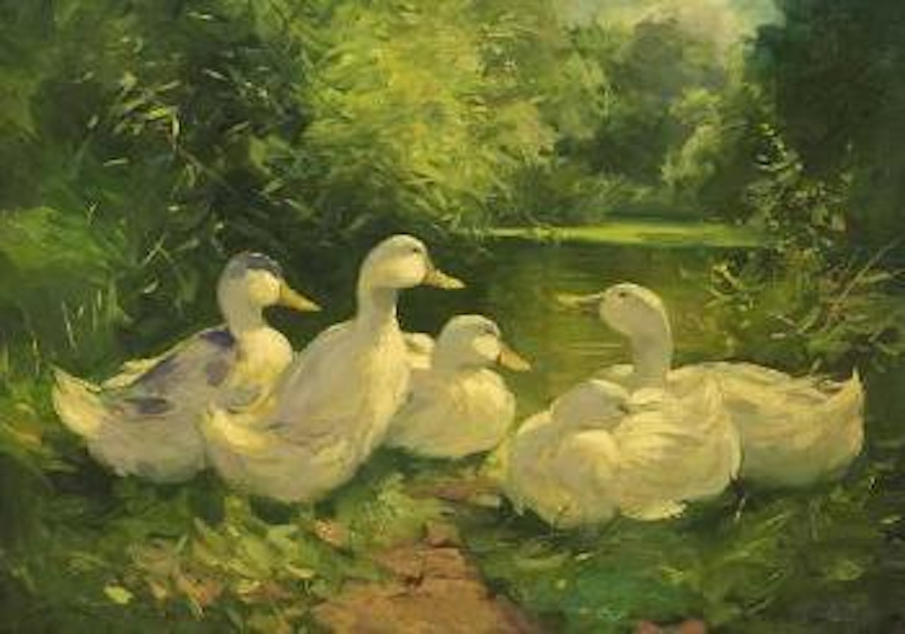 Fünf Enten am Teich by Alexander Koester