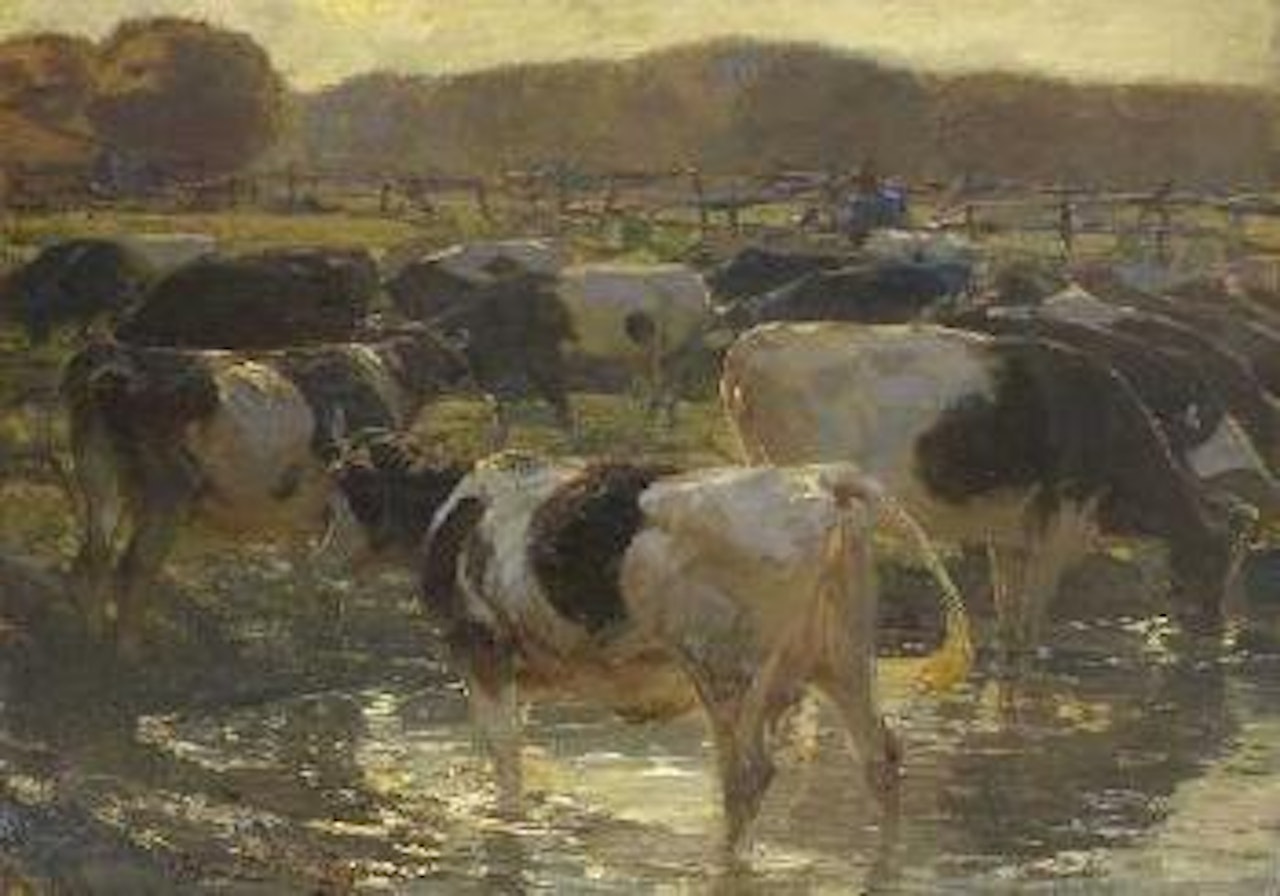 Rinder in der Furt by Heinrich von Zugel