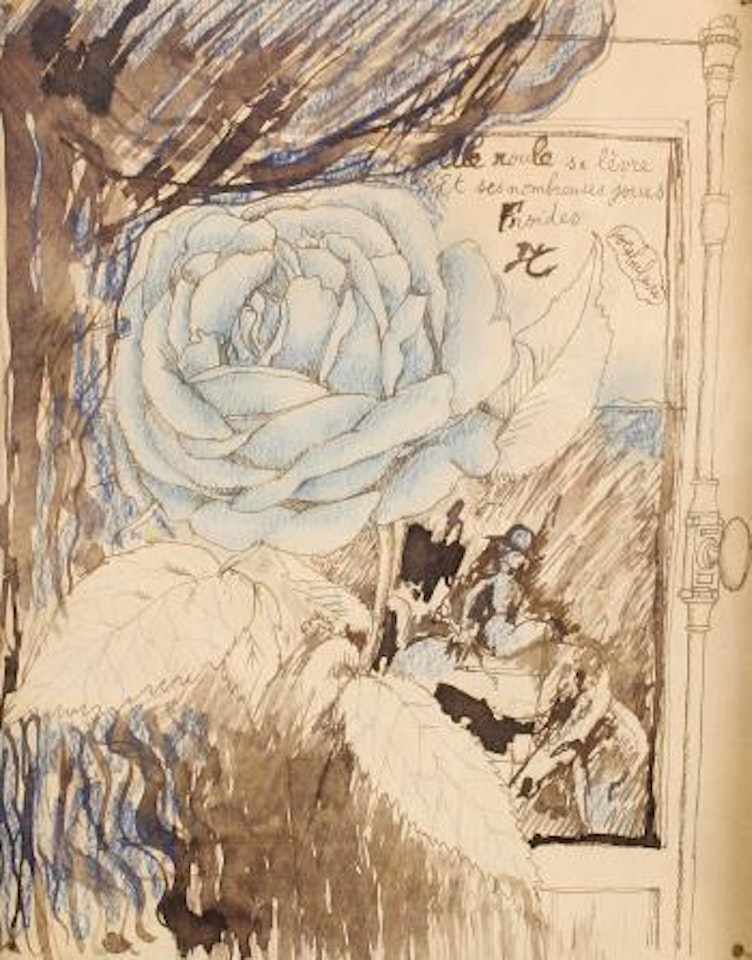 Rose stem by Jean Cocteau