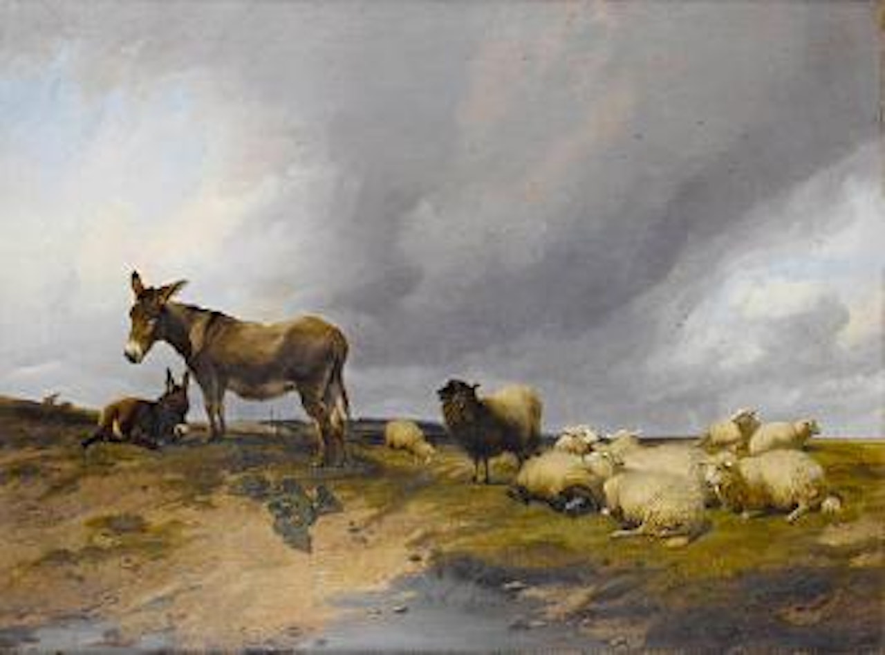 Donkeys with a flock of sheep on heathland by Thomas Sidney Cooper