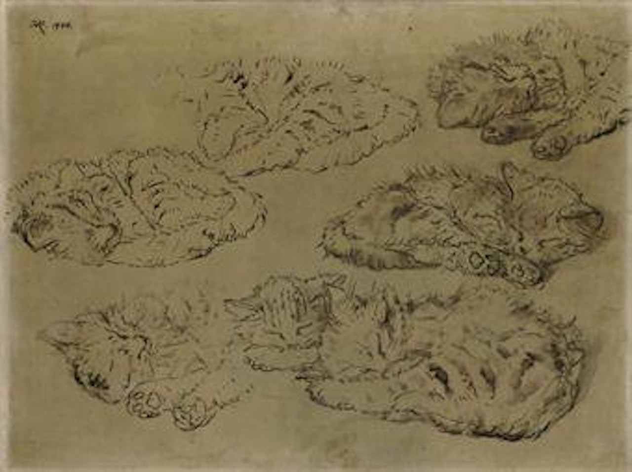 Grisaille study of cats by Henriette Ronner-Knip
