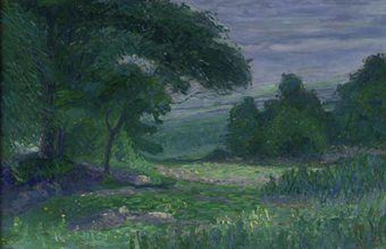 View of a forest, America by Dirk Smoorenberg