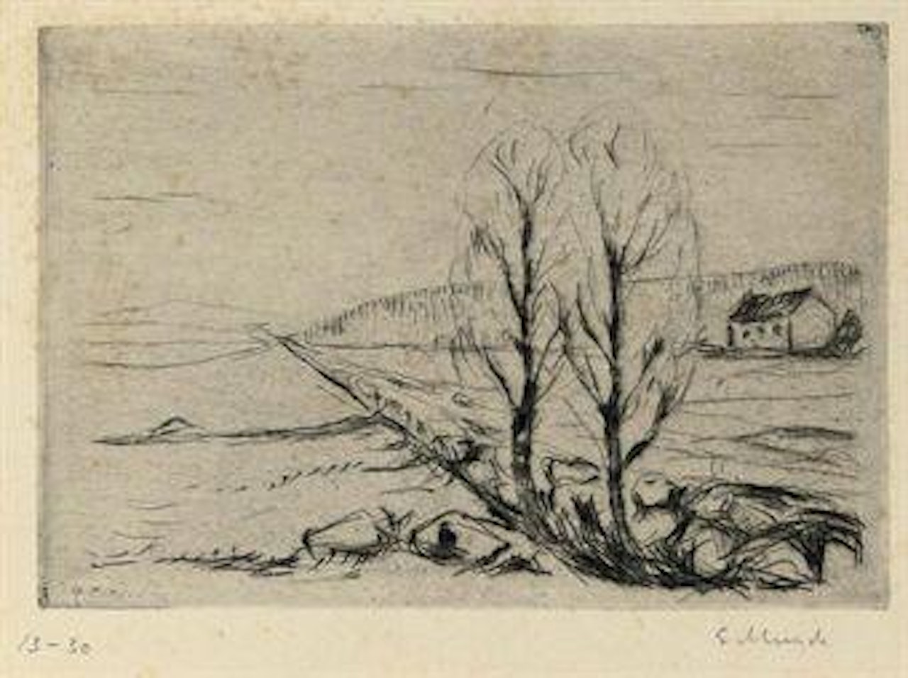 Norwegian Landscape (Schrefler 268) by Edvard Munch
