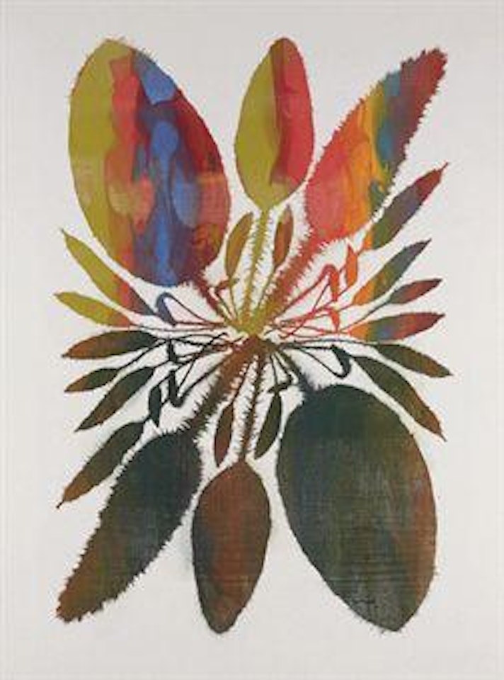 Double Acrosticum V by Philip Taaffe