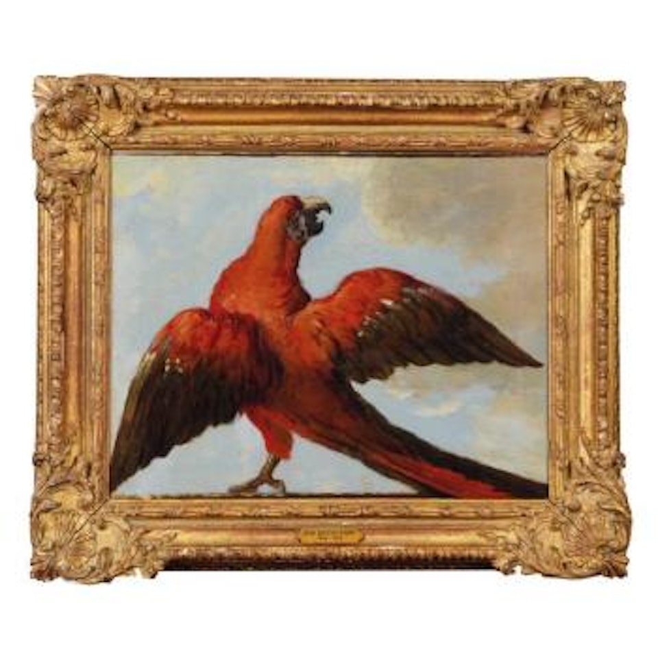 Un Perroquet Aux Ailes Déployées by Jean-Baptiste Oudry