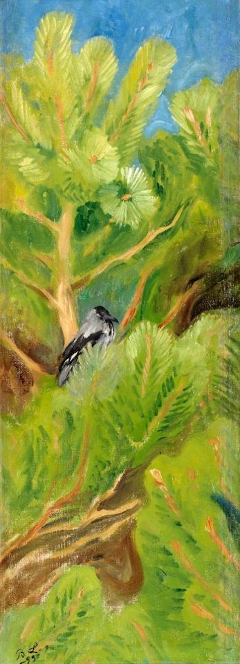 Crow in pine tree by Bruno Liljefors
