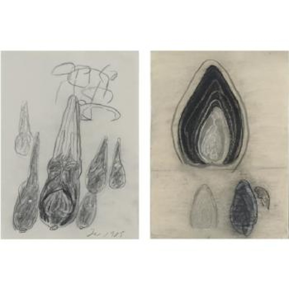 Untitled; Furrows [Two Works] by Terry Winters