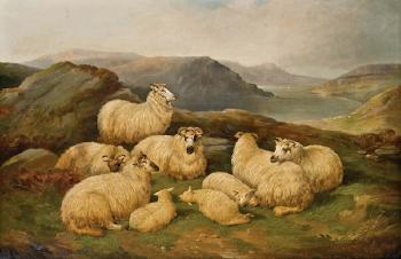 Ruhende Schafherde by Richard Ansdell