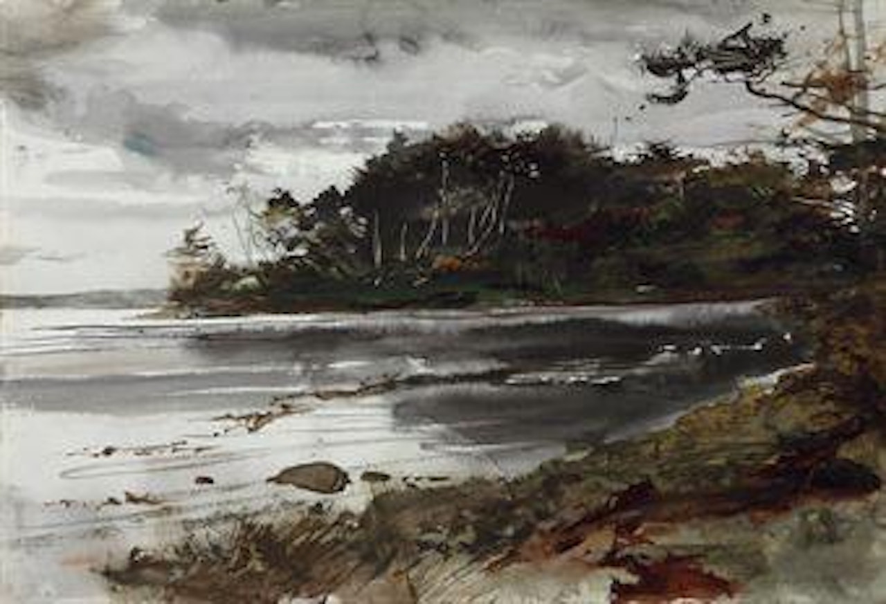 Along the Coast by Andrew Wyeth