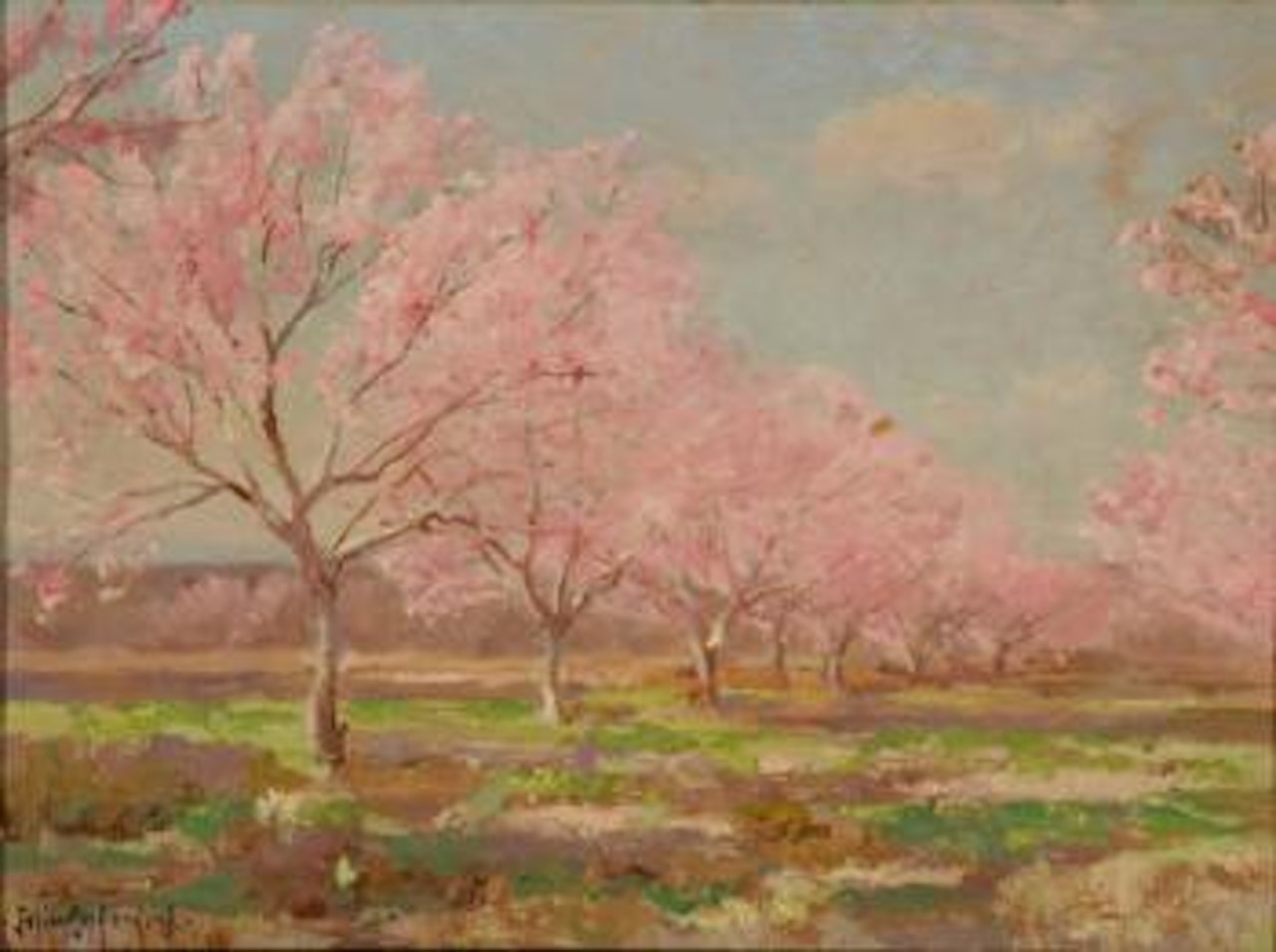 A peach orchard in bloom by Julian Onderdonk