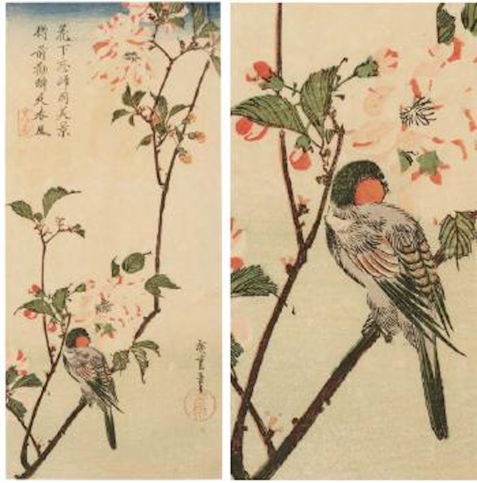Rouge-gorge Bouvreuil perché sur une branche de cerisier en fleurs by Utagawa Hiroshige