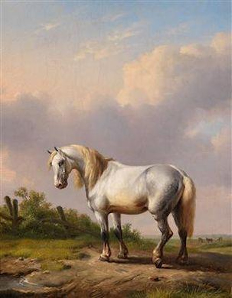 Grey, standing in front of an open landscape by Eugène Joseph Verboeckhoven