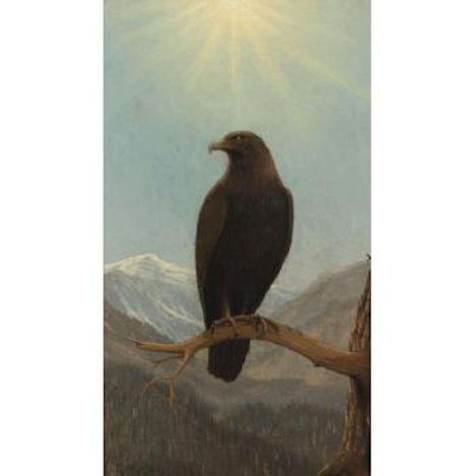 Golden Eagle by Joseph R. Meeker
