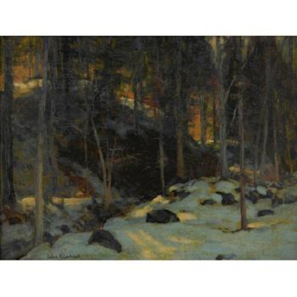 Sunlight Through Trees by John Fabian Carlson