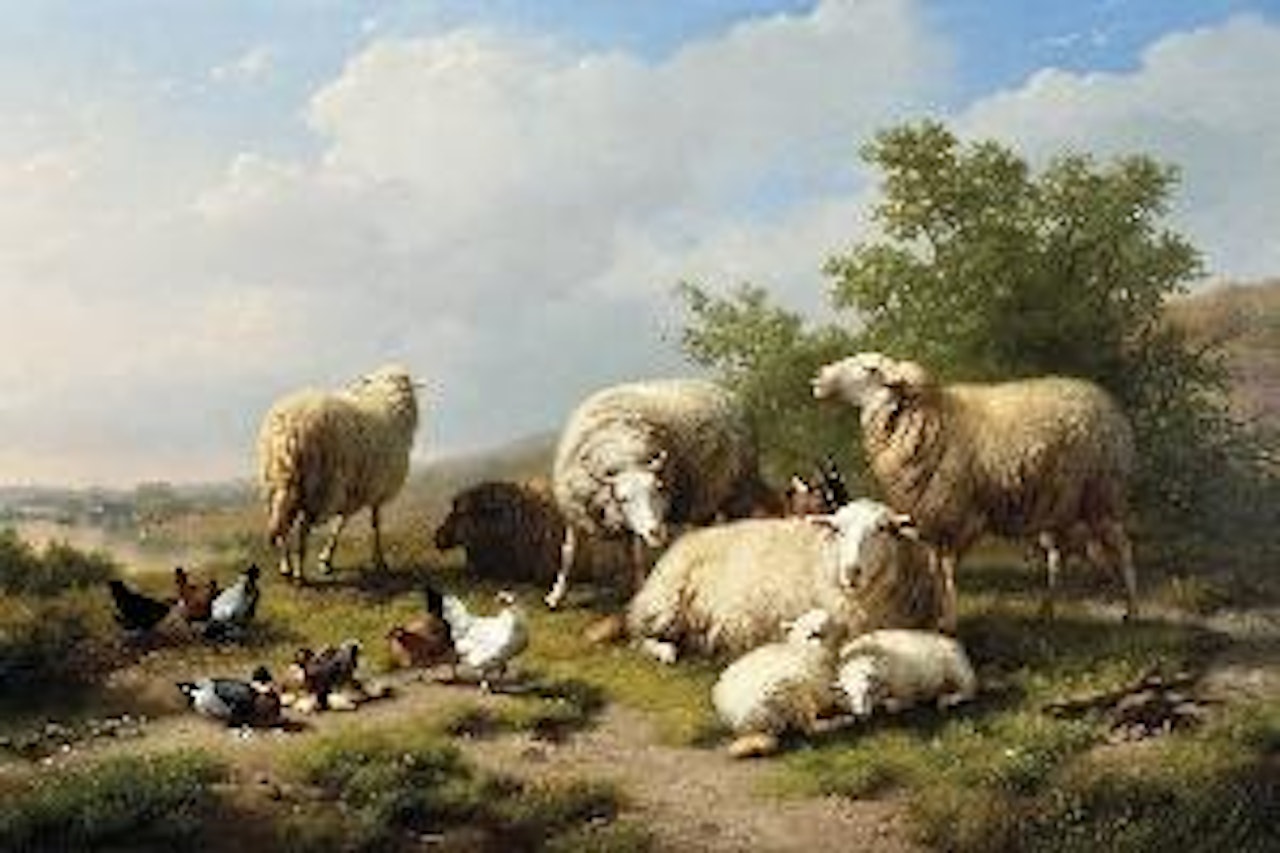 Landschap met schapen, kippen en een geit - Paysage avec moutons, poules et chevre by Eugène Joseph Verboeckhoven