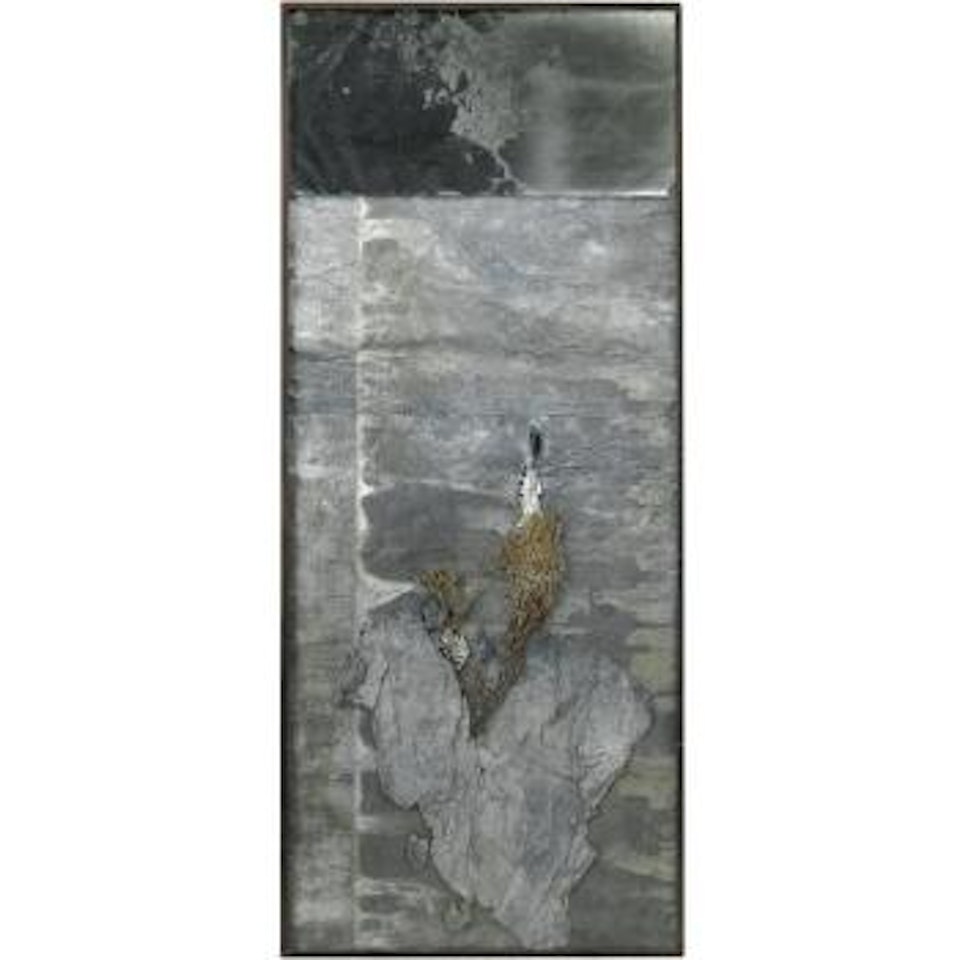 Thornbush by Anselm Kiefer