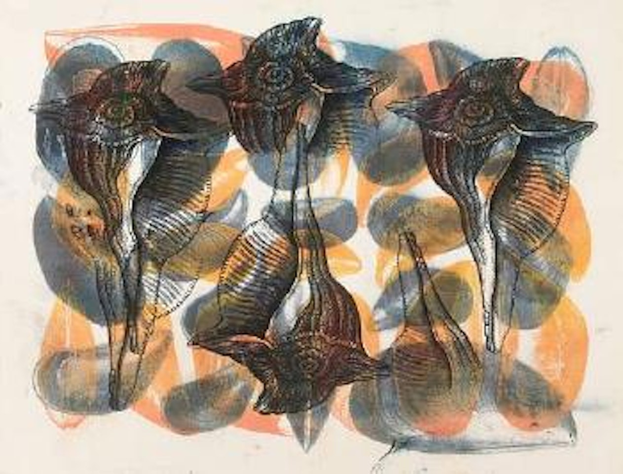 Pyrula/mussels by Philip Taaffe