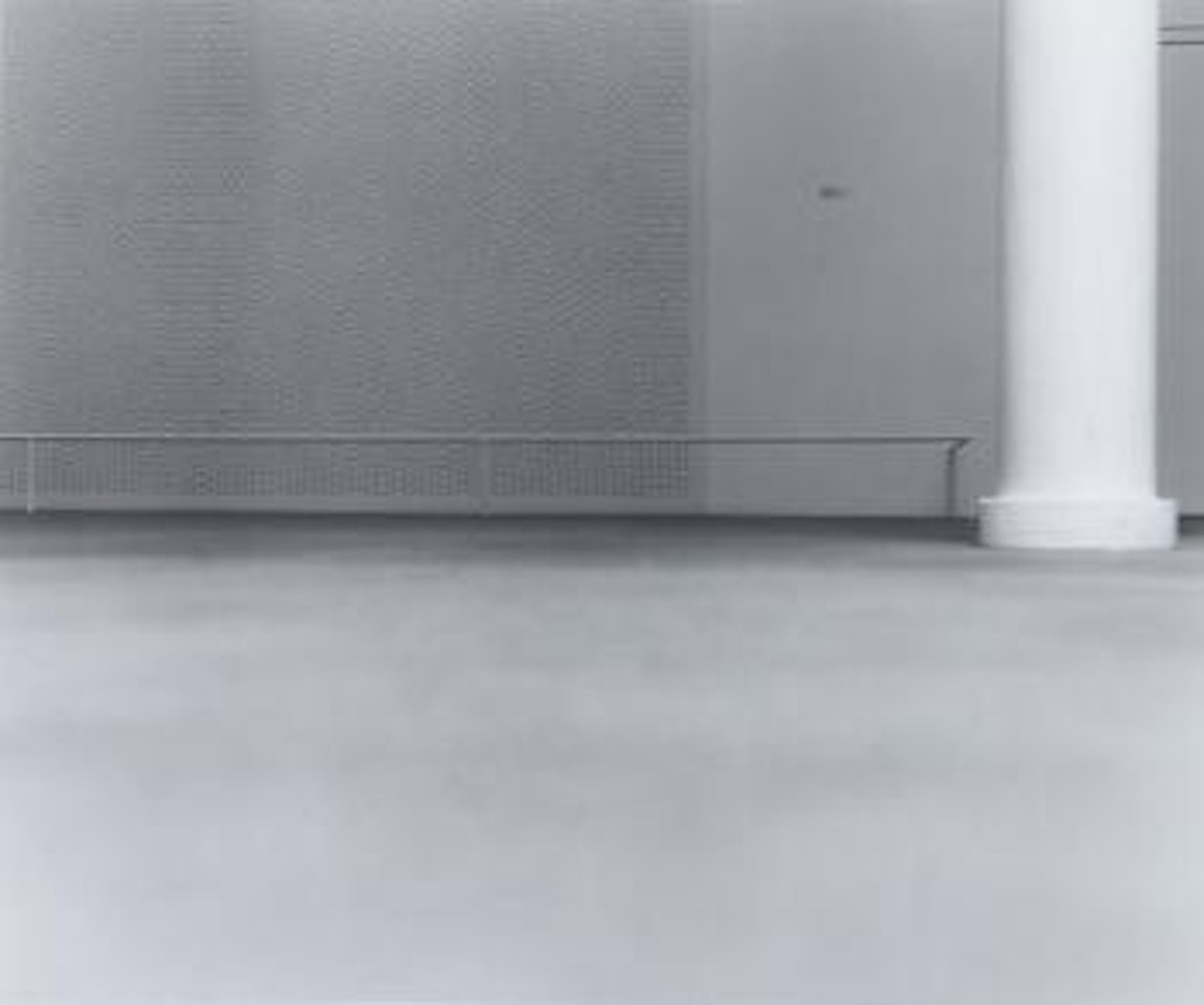 Grau by Louise Lawler