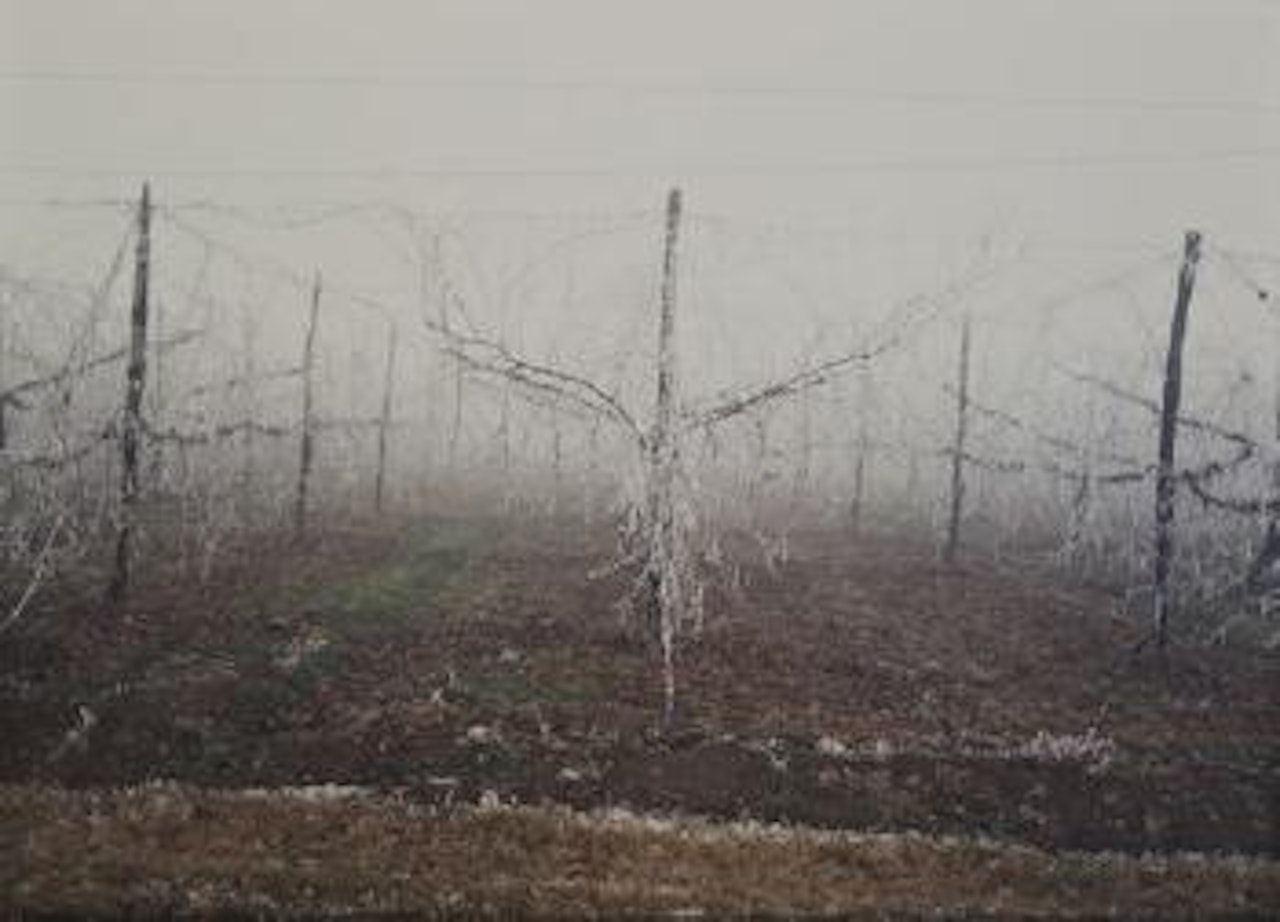 Formigine (Modena) by Luigi Ghirri
