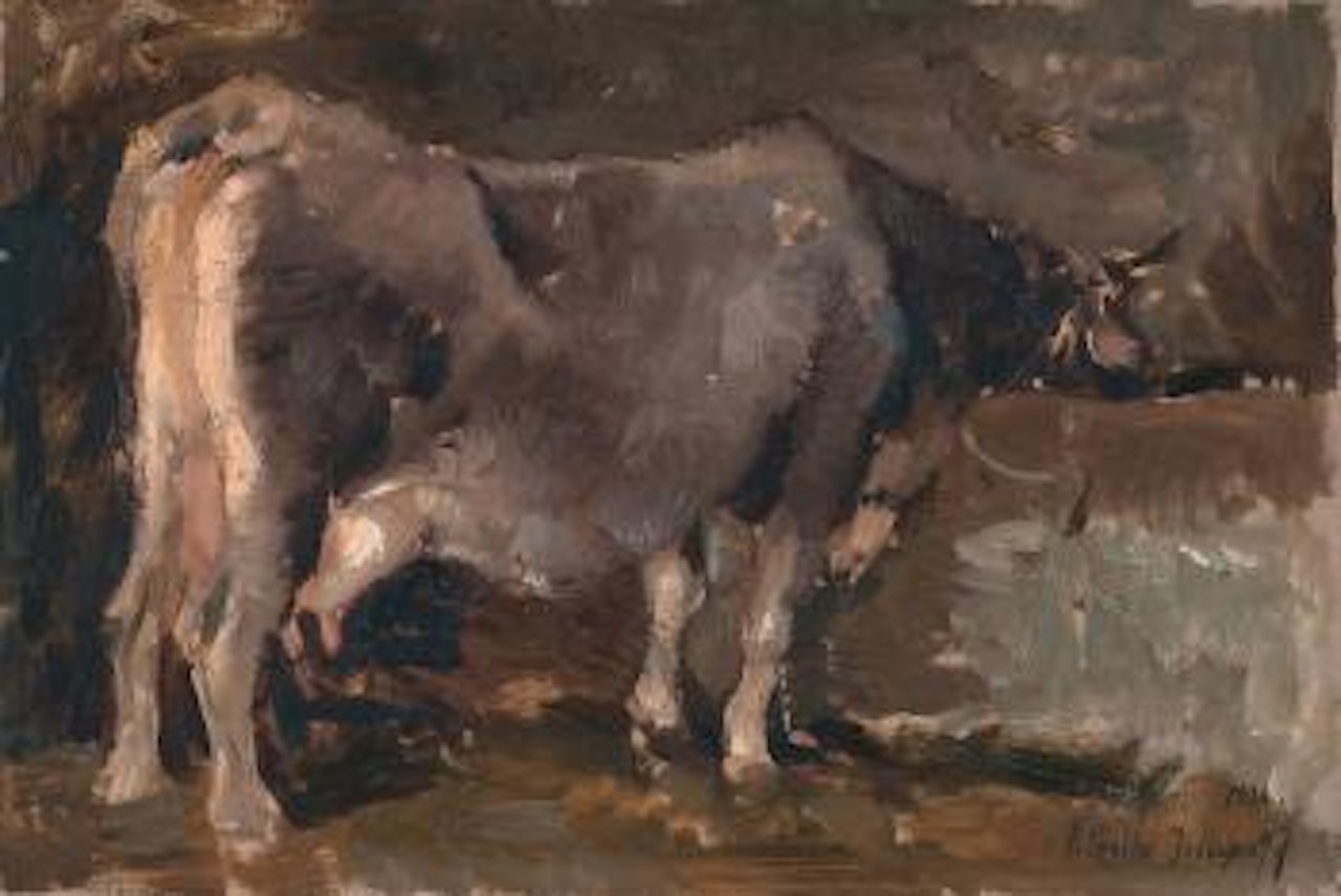 Mucca alla mangiatoia by Alessio Issupoff