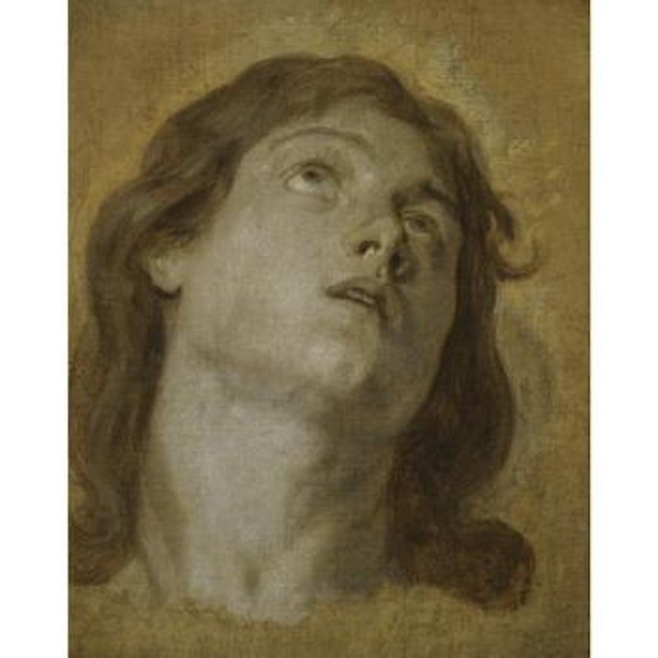 A Head Study by Anthony van Dyck