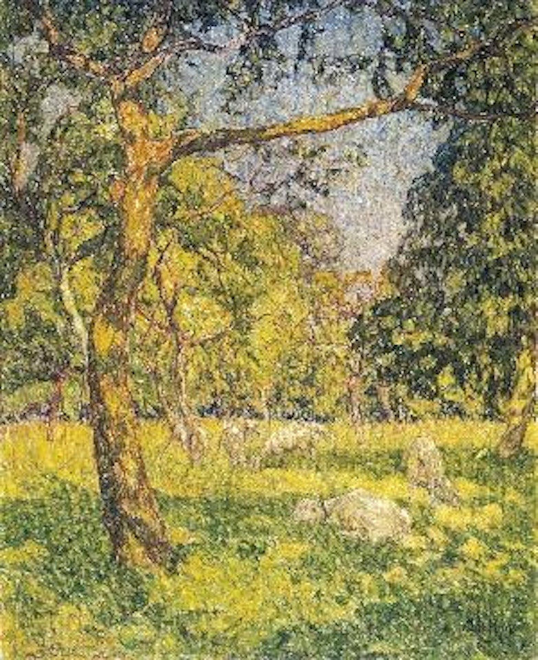 Schapen in het park by Modeste Huys