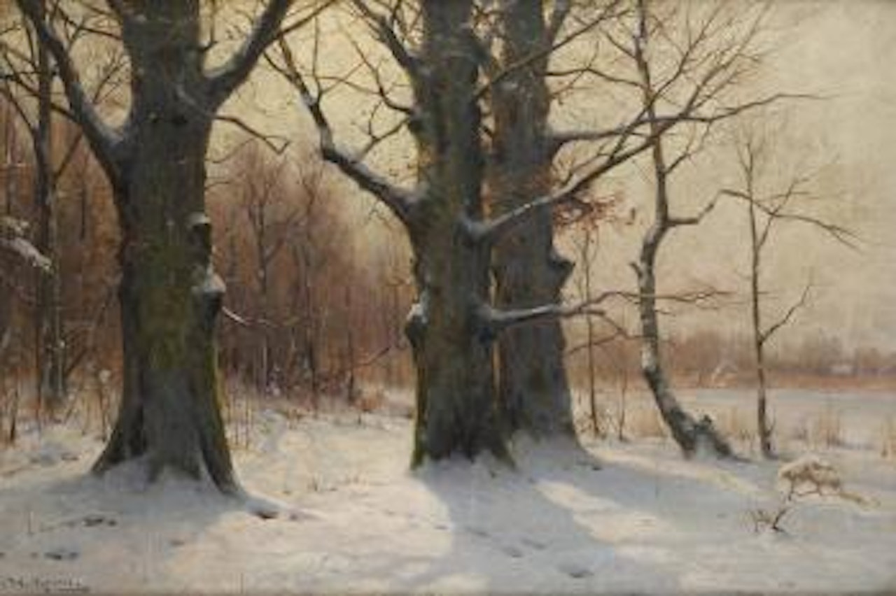 Rayons de soleil sur un paysage enneigé by Walter Moras
