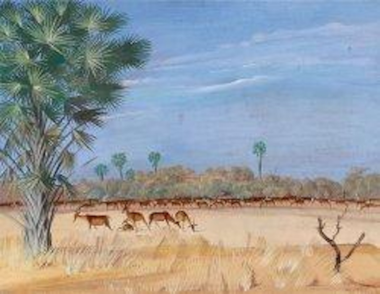 Antilopes Koba (Am-Dafok) Tchad by Alexander Evgenievich Yakovlev