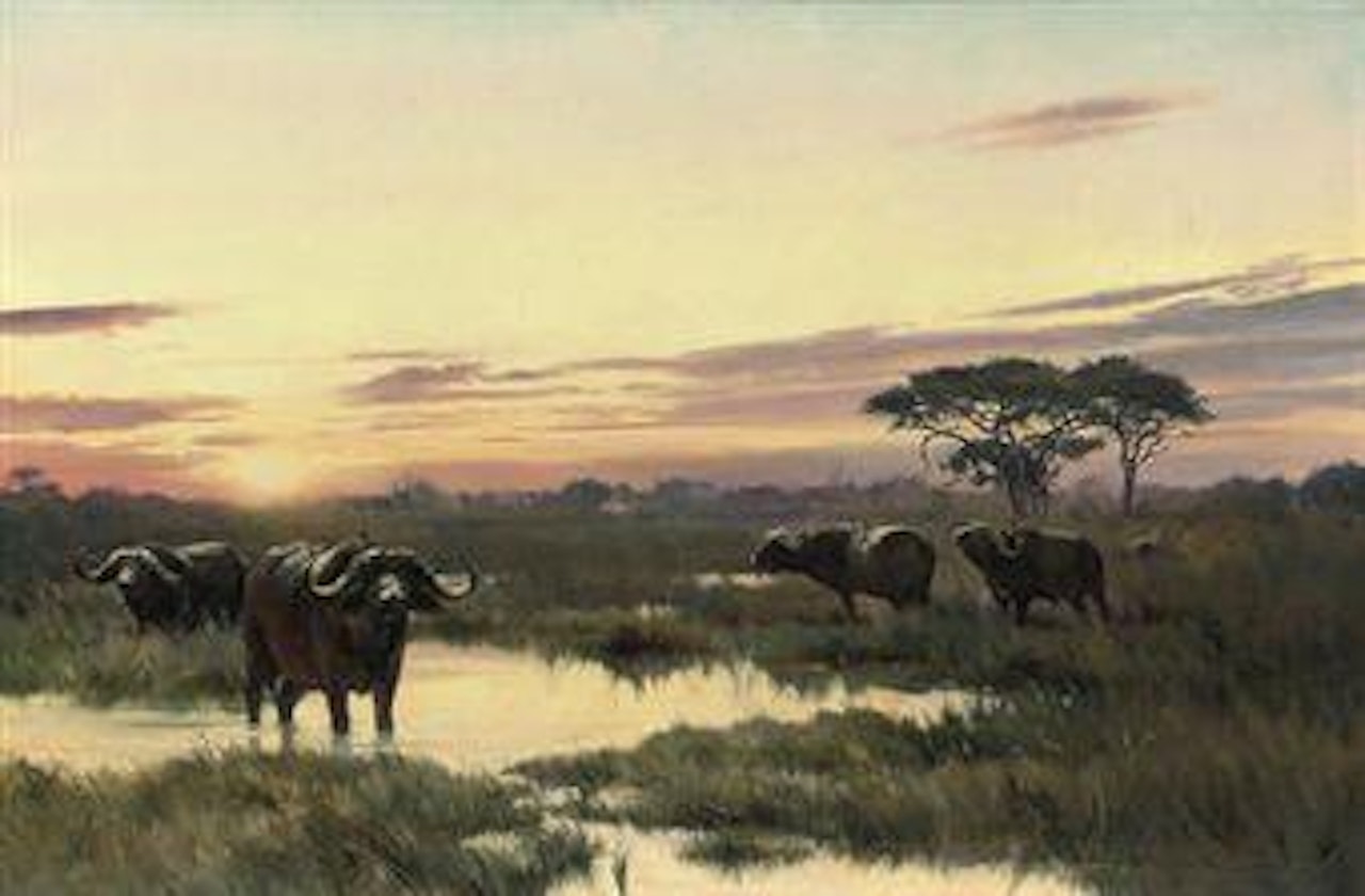 African sunset by Donald Grant