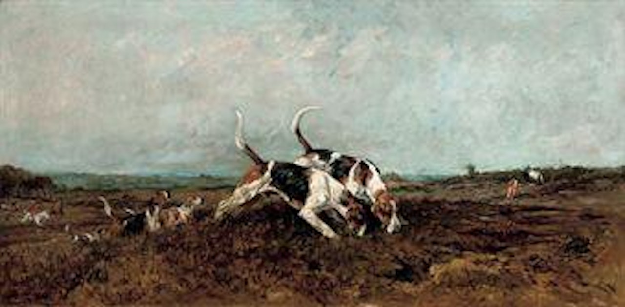 Hounds finding by John Emms