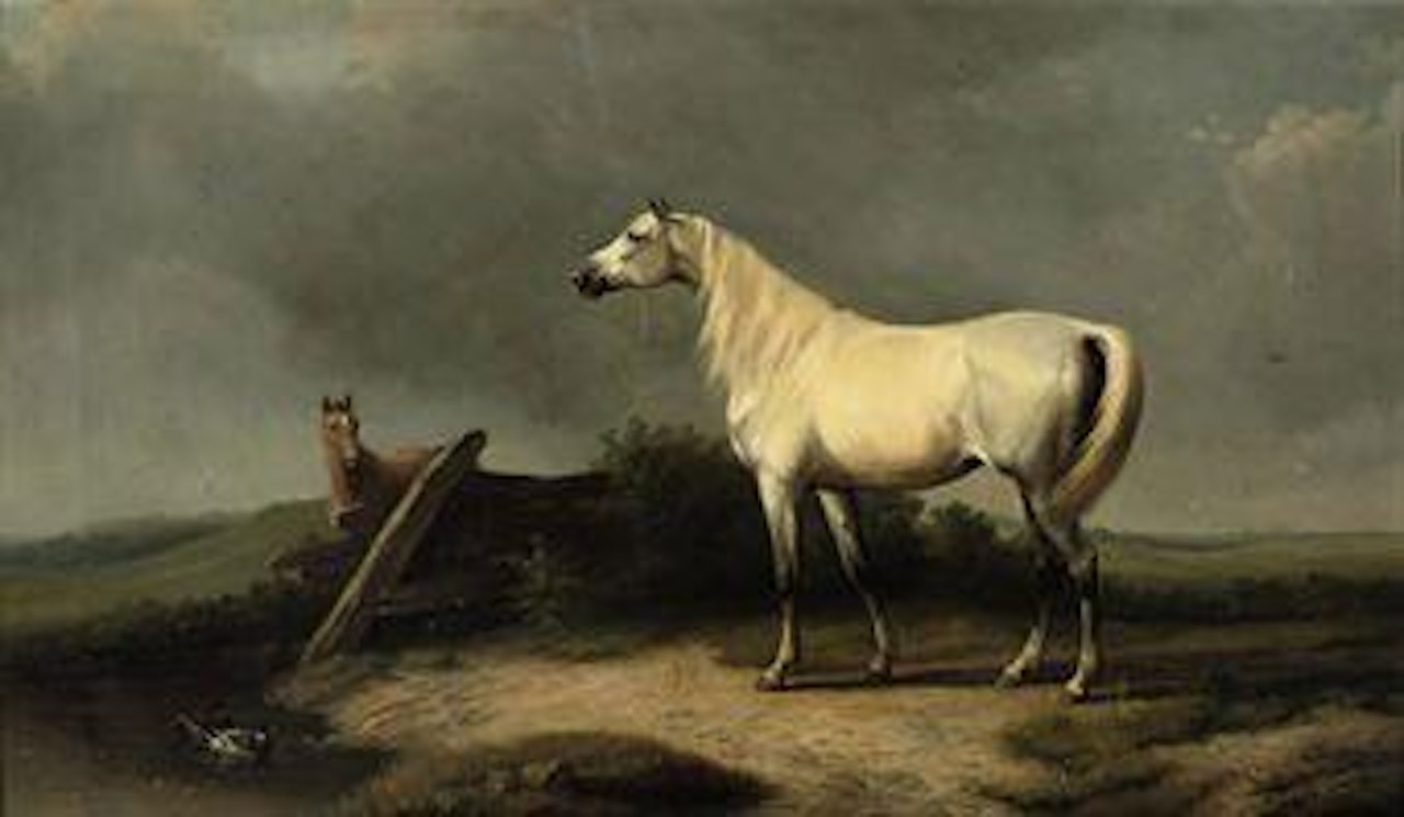 A white mare and her foal by Eugène Joseph Verboeckhoven