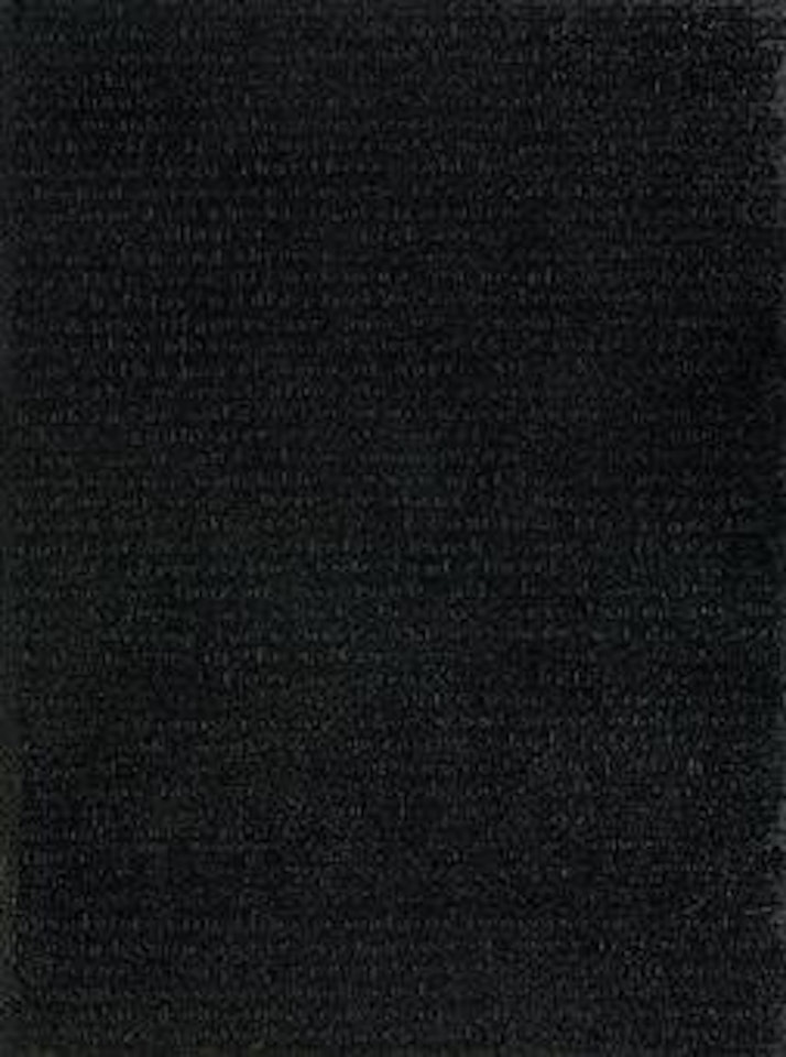 Stranger #27 by Glenn Ligon