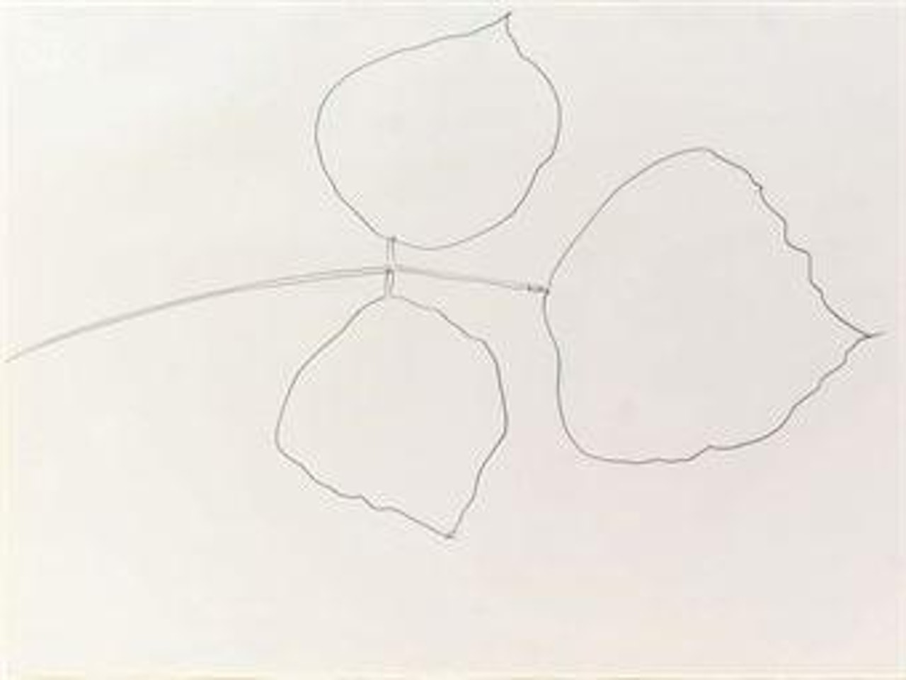 Coral Leaf 6 by Ellsworth Kelly