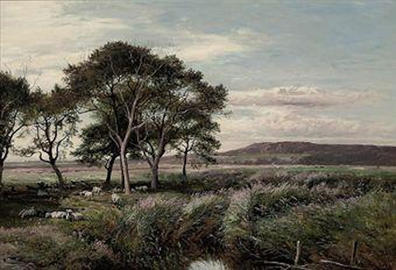 A reedy meadow, North Wales by Sidney Richard Percy