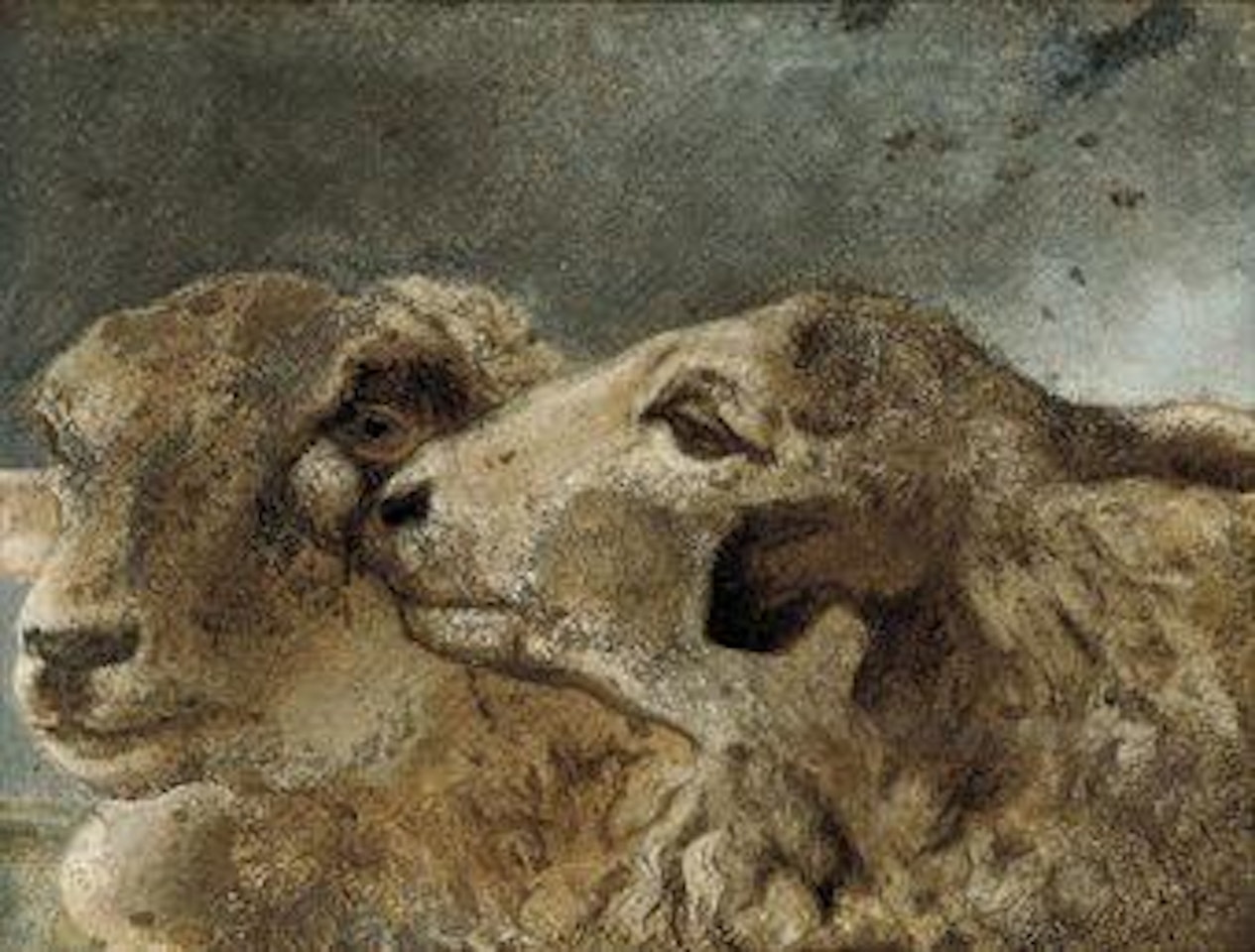 Study of sheep by John Frederick Herring