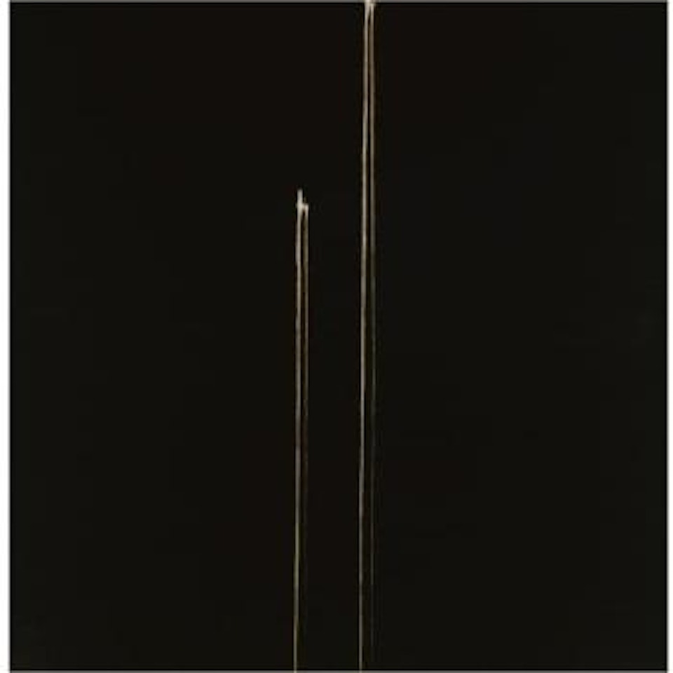 Two Identified Forms by Callum Innes