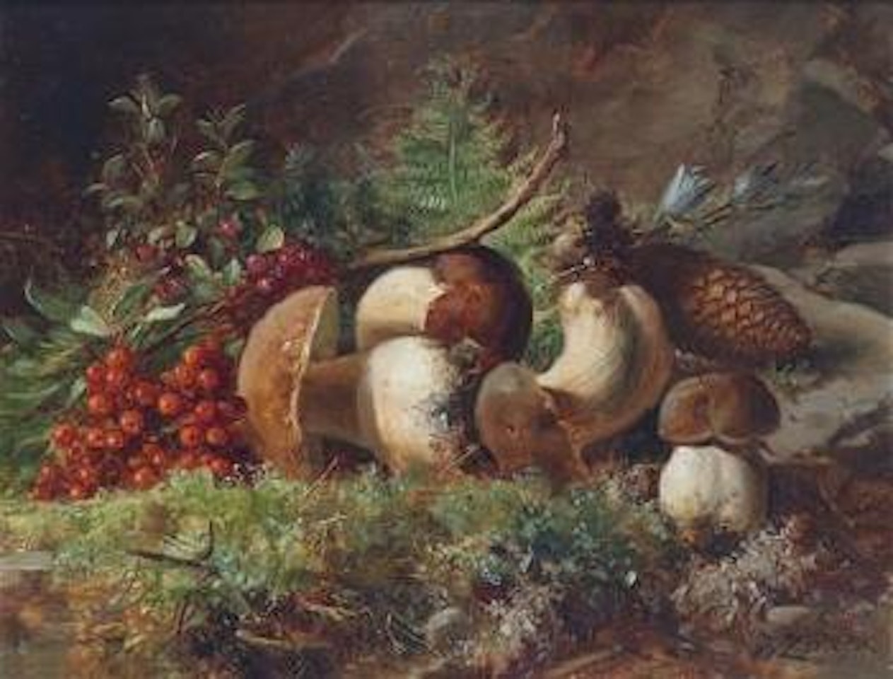 Toadstools by Hans Zatzka